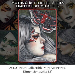 Papillons et papillons édition limitée ACEO impression Luna monarques papillons Robin Moth bleu Morpho Fantasy fée artiste cartes à collectionner ATC