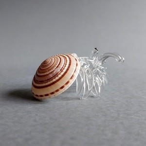 Tiny Miniature Sea Shell Seashell Hermit Crab Beach Animals Blown Glass Art Natural Collectible Gift Home Décor Brown Shell Clear
