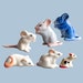 see more listings in the Cats & Mouses section