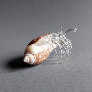 Tiny Miniature Sea Shell Seashell Hermit Crab Beach Animals Blown Glass Art Natural Collectible Gift Home Décor Brown Shell Clear O