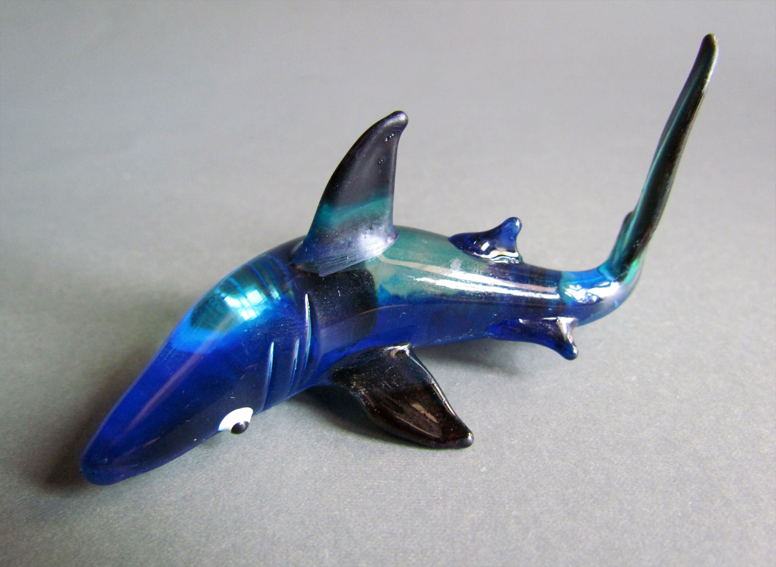painted glassfish painted glassfish
