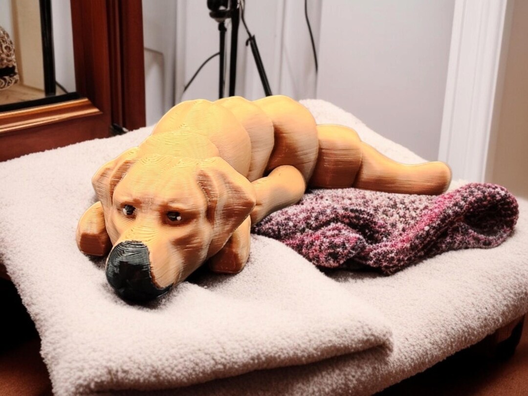 3D Printed Articulated Fidget Dog:poseable Fidget Toy - Etsy