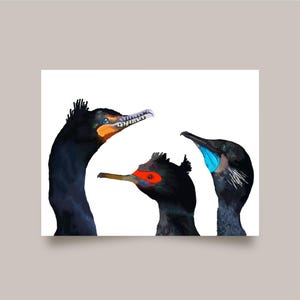 Aalscholver Trifecta Card - op de natuur geïnspireerde vogel illustratiekaart, vogel stationair - wildlife-wenskaart - PNW - kaartenset van 4 of 8