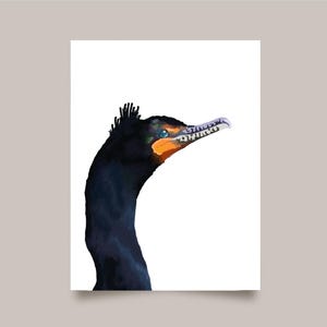Double Crested Cormorant Card - op de natuur geïnspireerde vogel illustratiekaart, vogel briefpapier - wildlife-wenskaart - PNW - kaartenset van 4 of 8