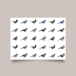 Chickadee-assortimentkaart - op de natuur geïnspireerde vogelillustratiekaart, stationair vogel - natuurwenskaart - PNW - kaartenset van 4 of 8