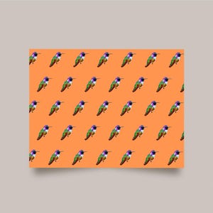 Calliope Hummingbird Card - op de natuur geïnspireerde vogel illustratiekaart, vogel briefpapier - wildlife wenskaart - PNW - kaartenset van 4 of 8