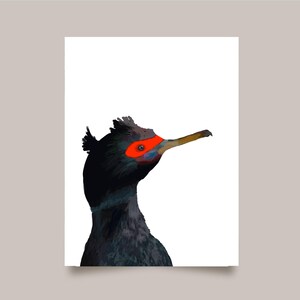 Rode aalscholver kaart - op de natuur geïnspireerde vogel illustratiekaart, vogel stationair - wildlife-wenskaart - PNW - kaartenset van 4 of 8