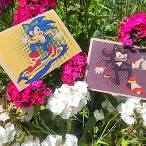 Sonic & Shadow the Hedgehog-ansichtkaarten