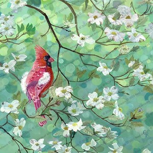 A Love that Stays — Northern Cardinal perched on Flowering Dogwood acrylic print on canvas