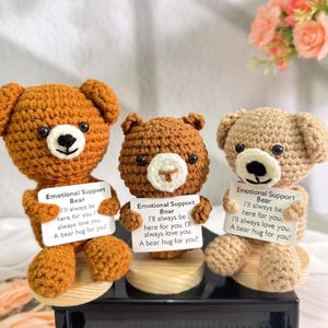 Handmade Crochet Animals Emotional Support Gift,Crochet Bear,Positive Affirmations,Encouragement Gift for kids,Interesting Gift