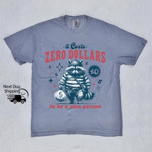 May include: A light blue t-shirt featuring a graphic of a raccoon wearing a striped shirt and holding a bag of money. The text "it Costs ZERO DOLLARS to be a nice person" is printed on the shirt.