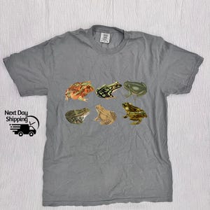 Puede incluir: Una camiseta gris con un estampado de siete ranas en diferentes poses. Las ranas son verdes, marrones y naranjas.