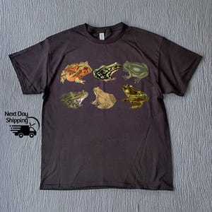 Puede incluir: Una camiseta gris oscuro con una impresi&oacute;n de seis ranas diferentes en varios colores y poses.