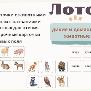 Набор пару während der Zeremonie, RUSSISCH Karteikarten russische Aktivitäten