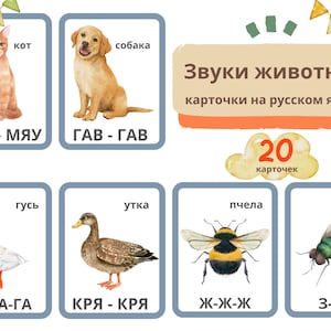 Звуки живовоных карсском языке || Tierstimmen Vokalkarten in russischer Sprache