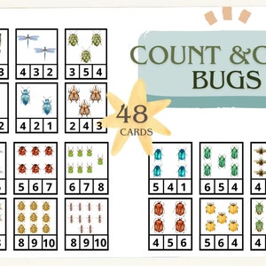 BUGS Count and Clip Karten || Zählen von 1 bis 10 || 48 Karten || Aktivitätskarten