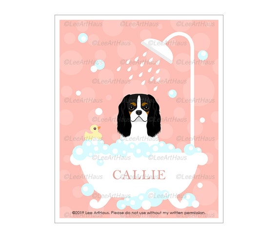 Schnauzer Butts Drive Me Nuts Cavalier King Charles Spaniel