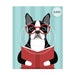 see more listings in the Boston Terrier section