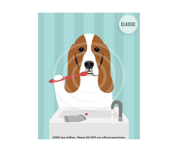 Best brush top for basset hound
