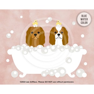 56DP Blenheim and Ruby Red Cavalier King Charles Spaniels in Bathtub Wall Art - King Charles Spaniel - Dog Taking Bath - Cavalier Gifts