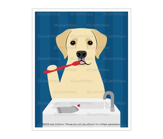 dog brush for labrador