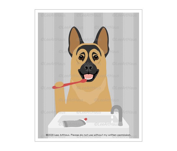 brushing german shepherd teeth