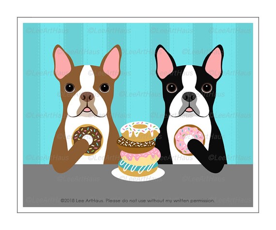 boston terrier not eating