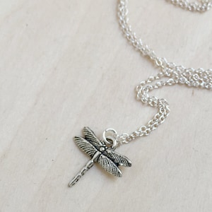 May include: A silver chain necklace with a dragonfly pendant. The dragonfly is detailed and has a delicate design.