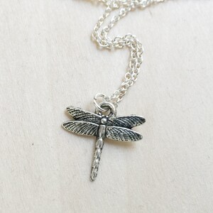 May include: A silver chain necklace with a dragonfly pendant. The dragonfly is detailed with intricate wings and a body.