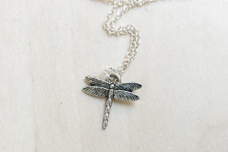 May include: A silver chain necklace with a dragonfly pendant. The dragonfly is detailed with intricate wings and a body.