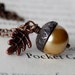 see more listings in the Acorns & Pine Cones section