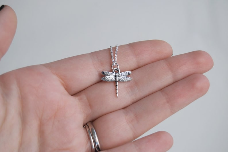 May include: A silver dragonfly pendant necklace on a silver chain.