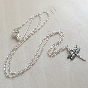May include: A silver chain necklace with a dragonfly pendant. The dragonfly is detailed with intricate wings and a long, thin body.