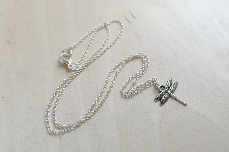May include: A silver chain necklace with a dragonfly pendant. The dragonfly is detailed with intricate wings and a long, thin body.