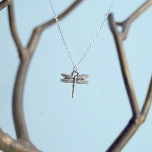 May include: A silver dragonfly pendant necklace hanging from a silver chain on a gold branch.