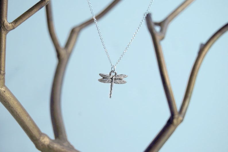 May include: A silver dragonfly pendant necklace hanging from a silver chain on a gold branch.