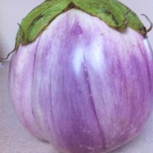 Organische ROSA BIANCA italienische Aubergine Beste Qualität Lieblingssamen