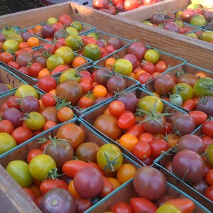 market garden seeds