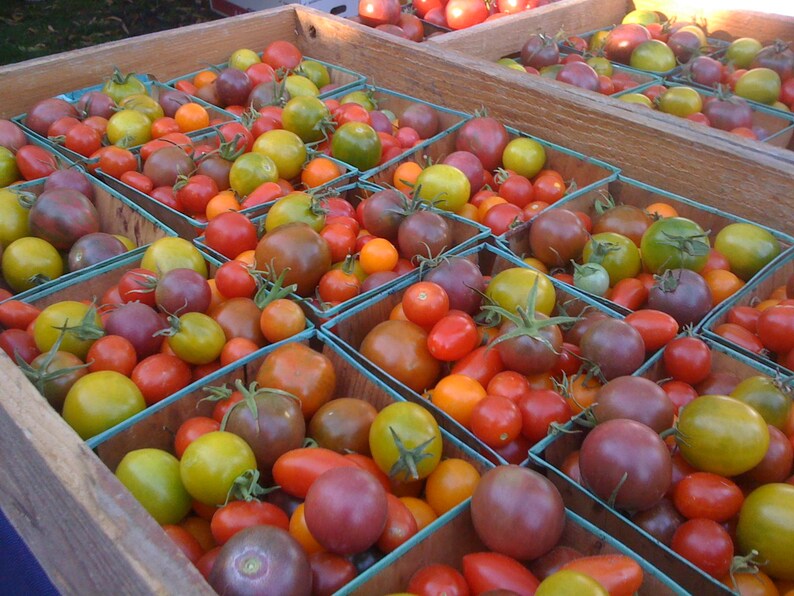 market garden seeds