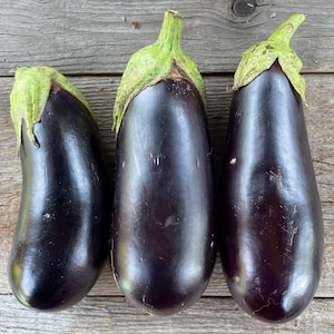 Organic Long Purple Italian Eggplant Excellent Flavor Productive Rare SEEDS