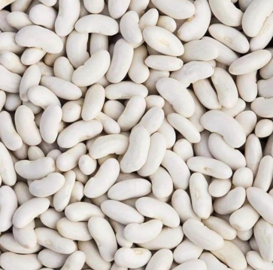 BOGO| Organic Cannellini | Italian Dry Bean| Heirloom Beans| Staple ...