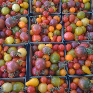 heritage heirloom seeds