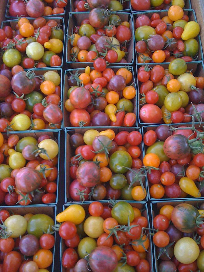 heritage heirloom seeds