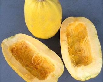 May include: Three spaghetti squash, one whole and two halved, showing the bright yellow flesh and stringy seeds inside.