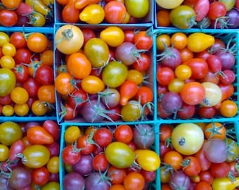 Rainbow Cherry Tomato Seeds | Organic Vegetable Seeds | Heritage Seeds | Red Cherry Tomato | Market Garden Seeds | Purple Tomato Seeds