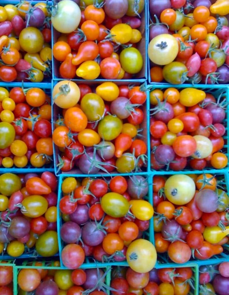 rainbow cherry tomato seeds