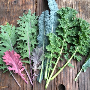 May include: Assortment of kale leaves in various colors, including green, blue-green, and purple, displayed on a wooden surface.