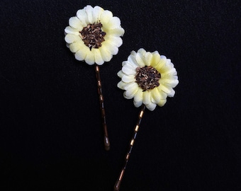 Sweet Yellow and White Daisy Flowers on Bronze Bobby Pins