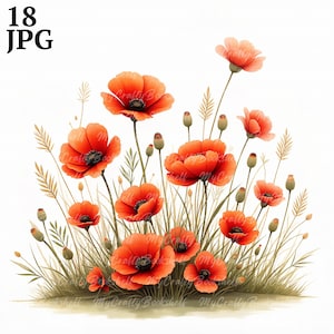 Lot de 18 cliparts plante pavot, JPG haute résolution, création artistique, fabrication de cartes, clipart aquarelle, créations numériques sur papier, album de photos de fleurs de pavot
