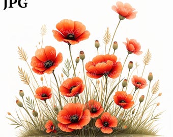 Watercolor Poppy Clipart Bundle: High-Res PNG Images (Digital Download)